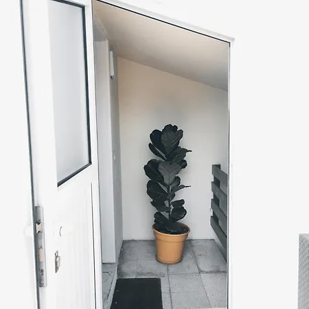 Murillos 2 大加那利岛拉斯帕尔马斯