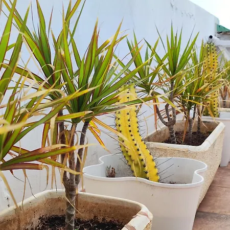 度假居 Murillos 2